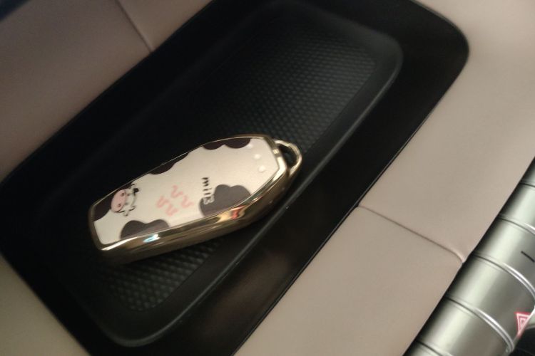 比亚迪 海豚 2023款 420km 时尚版中控内饰11