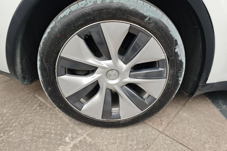 特斯拉 Model Y 2021款 标准续航后驱版车身外观6008