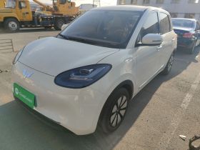 五菱汽车 五菱缤果 2025款 333km 悦享款