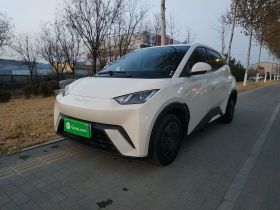 比亚迪 海鸥 2023款 活力版