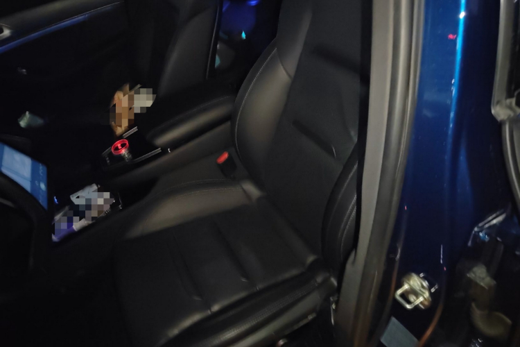 SERES赛力斯 赛力斯SF5 2020款 四驱高性能运动版局部细节19