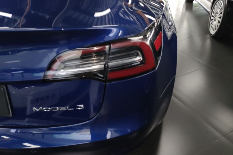 特斯拉 Model 3 2019款 标准续航后驱升级版车身外观6006