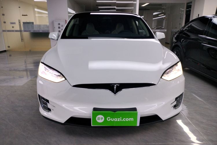 特斯拉 2017款 Model X 100D 长续航版车身外观2
