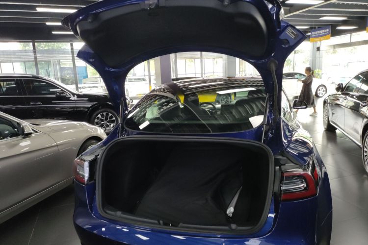 特斯拉 Model 3 2019款 标准续航后驱升级版局部细节23