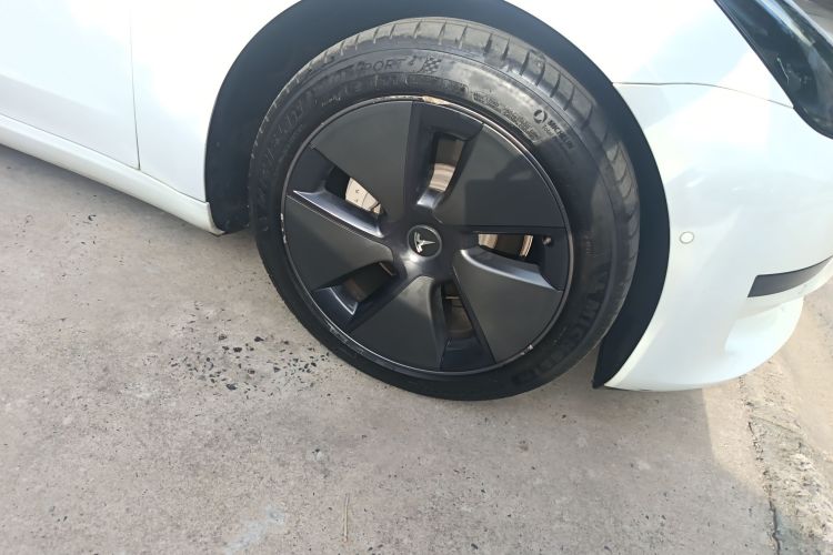 特斯拉 Model 3 2021款 标准续航后驱升级版车身外观6007