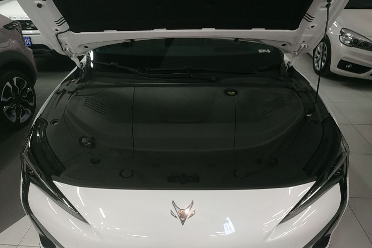 ARCFOX极狐 极狐 阿尔法S5 2024款 560MAX 185kW局部细节24