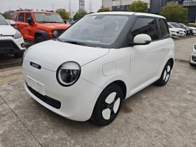 长安启源 长安Lumin 2022款 210km 香甜款