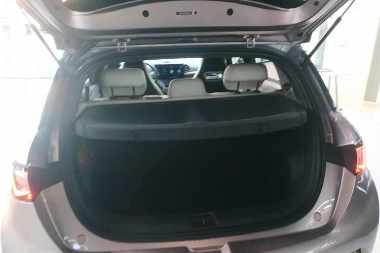 比亚迪 海豚 2021款 401km 骑士版机舱底盘23