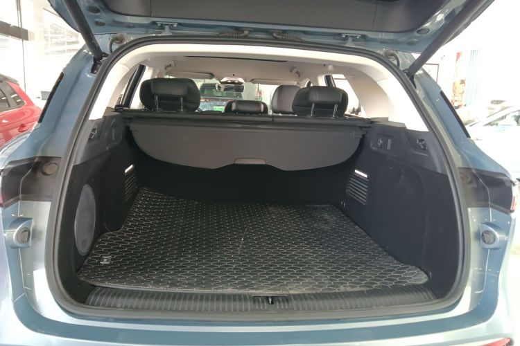 岚图汽车 岚图FREE 2021款 四驱纯电首发纪念版专属豪华套装机舱底盘23