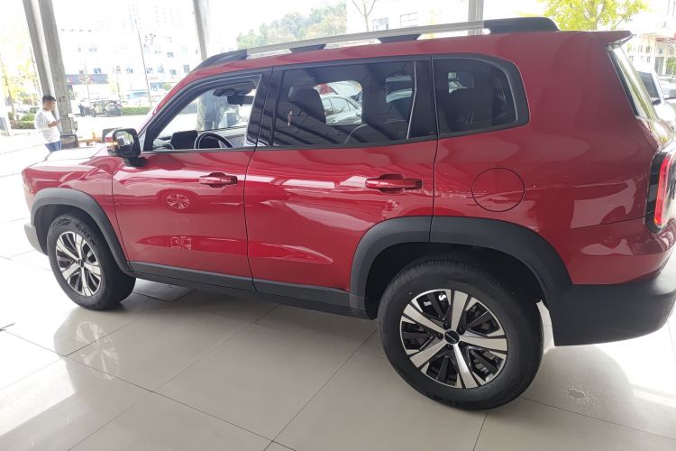 哈弗大狗 2021款 1.5T DCT两驱拉布拉多版车身外观4