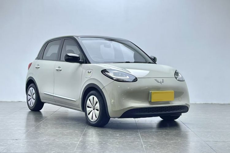 五菱汽车 五菱缤果 2023款 333km 快享款车身外观3