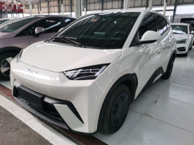 比亚迪 海鸥 2024款 荣耀版 305km 活力版