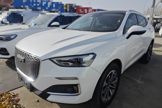 哈弗F5 2019款 国潮版 1.5T i潮 国VI