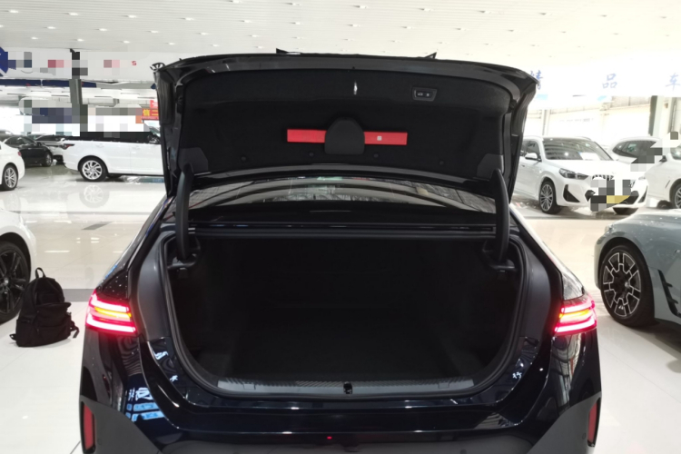 宝马5系 2025款 530Li 领先型 M运动套装局部细节23