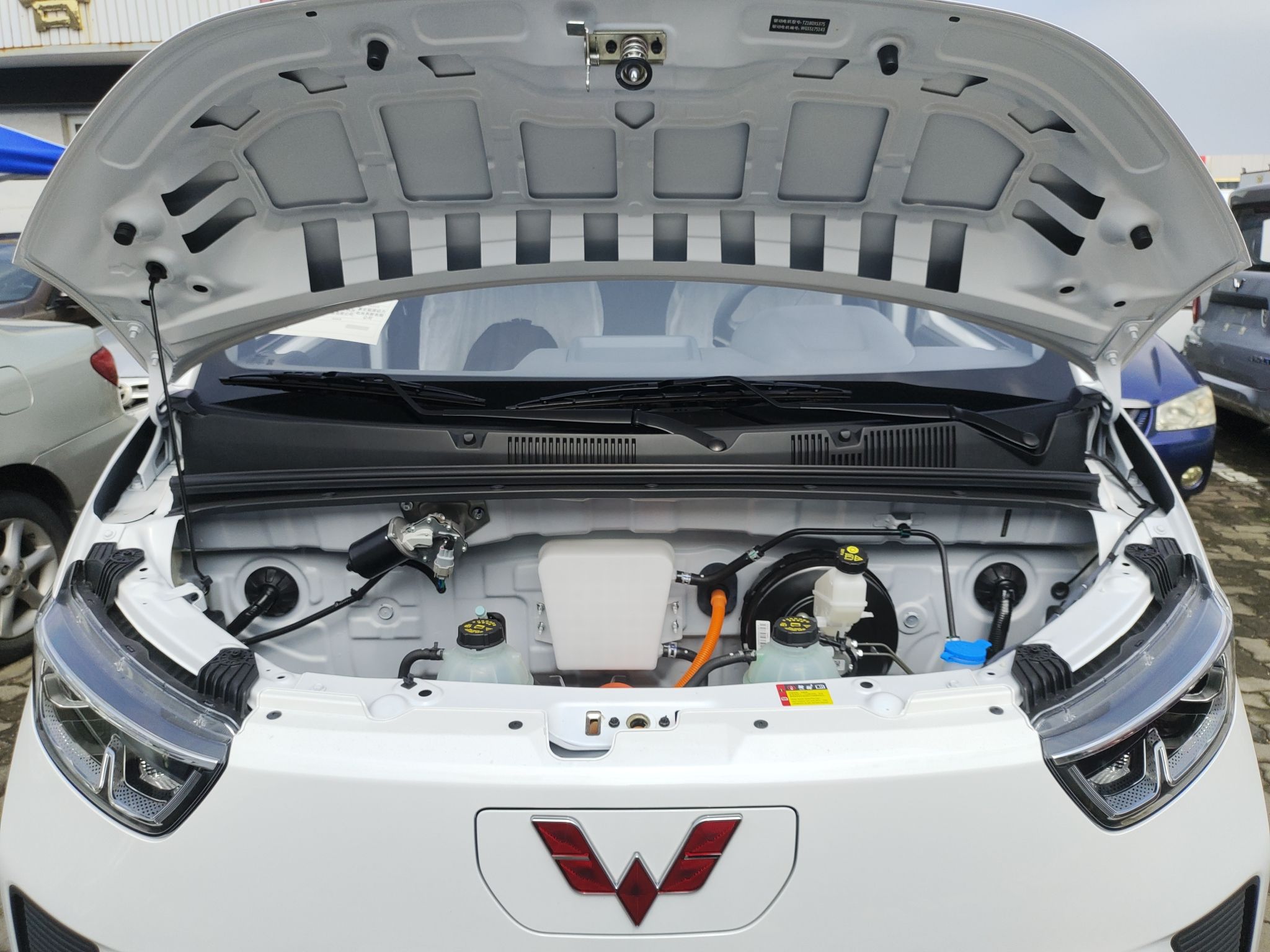 五菱汽车 五菱扬光 2024款 300KM 舒适型客车版 75kW