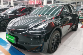 特斯拉 Model Y 2022款 改款 长续航全轮驱动版