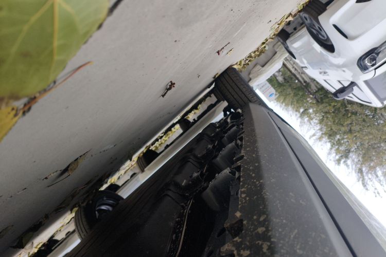 零跑汽车 零跑T03 2025款 310舒享版局部细节9001