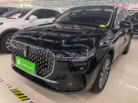 林肯 冒险家 2024款 2.0T 两驱尊雅版