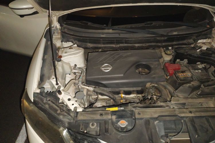 日产 奇骏 2014款 2.0L CVT智领版 2WD局部细节9006