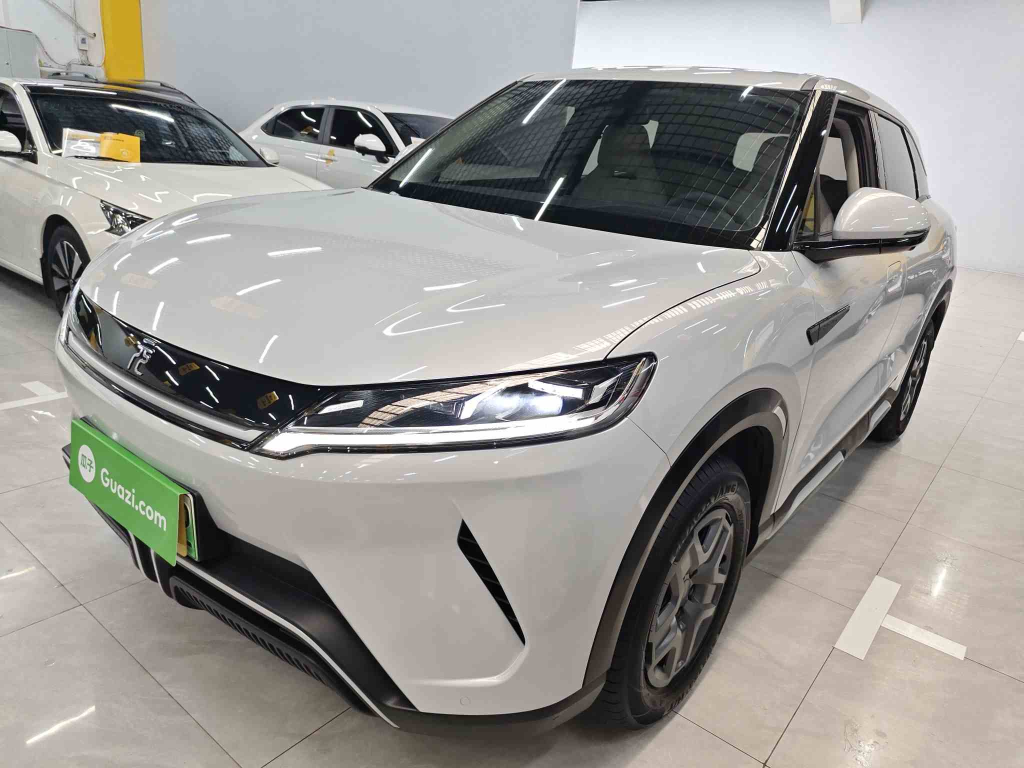 比亚迪 元UP 2024款  401KM 活力版(2)