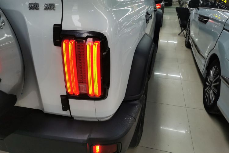 坦克300 2021款 越野版 2.0T 挑战者车身外观6006