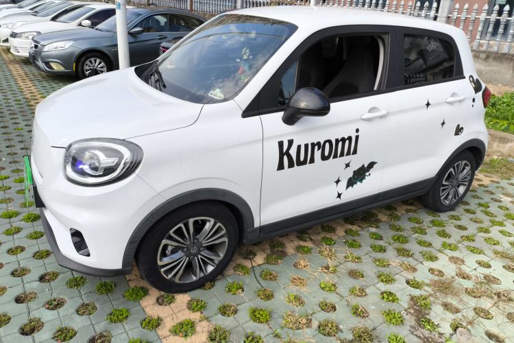 零跑汽车 零跑T03 2021款 400轻享版 磷酸铁锂车身外观4