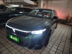 岚图汽车 岚图FREE 2024款 超长续航智驾版