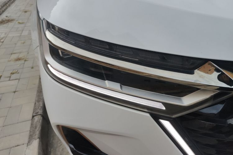 奇瑞 瑞虎8 PRO 2024款 冠军版 390T 两驱巅峰版 5座车身外观8