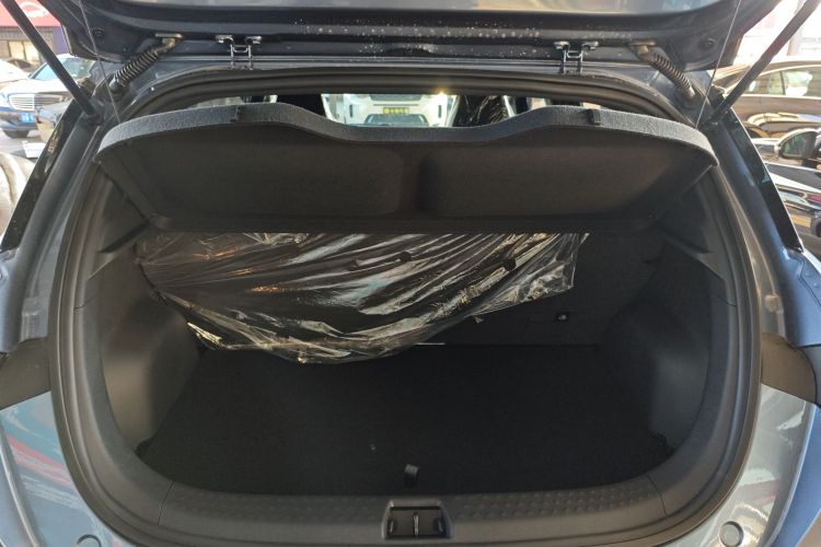 比亚迪 海豚 2025款 420km 自由版机舱底盘23