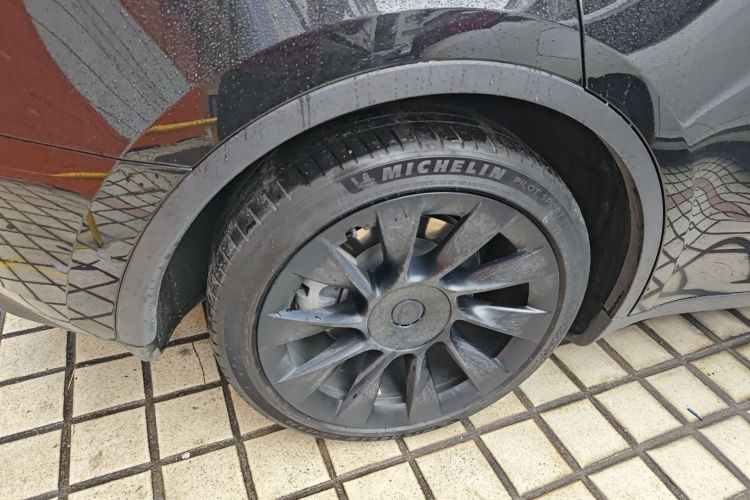 特斯拉 Model Y 2021款 标准续航后驱版车身外观6005