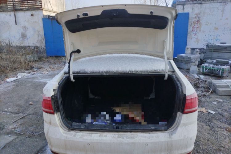 大众 朗逸 2015款 1.6L 手动风尚版局部细节23