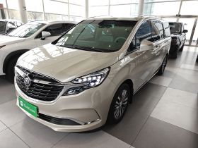 别克GL8 2022款 ES陆尊 653T 舒适型