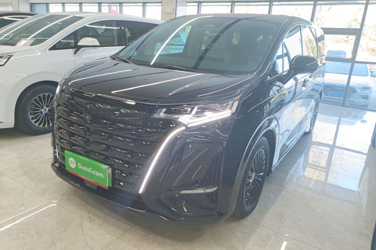 腾势D9 2024款 DM-i 980 四驱尊荣型车身外观1