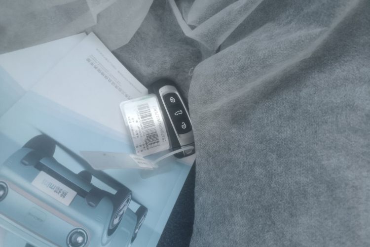 吉利银河 2024款 熊猫mini 200km 耐力熊中控内饰11