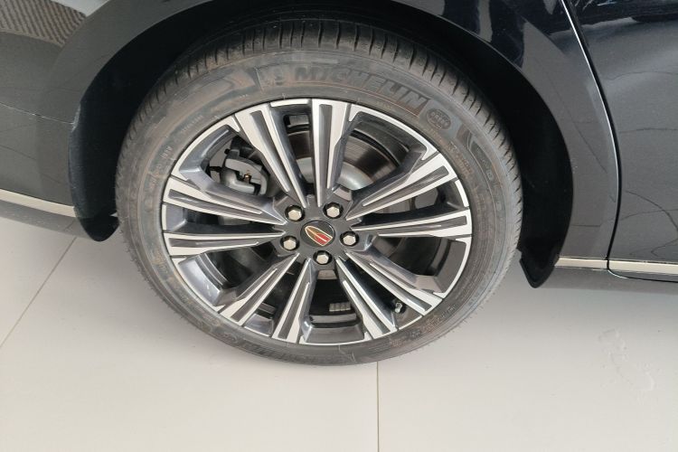 红旗H9 2024款 2.0T 旗畅 私享风尚版车身外观6008