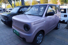 吉利银河 2024款 熊猫mini 200km 耐力熊