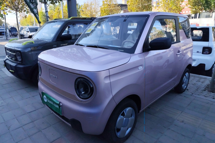吉利银河 2024款 熊猫mini 200km 耐力熊车身外观1