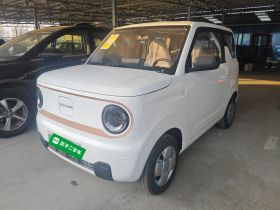 吉利银河 2024款 熊猫mini 200km 耐力熊