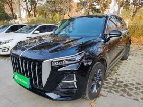 红旗HS5 2023款 2.0T 旗享Pro版