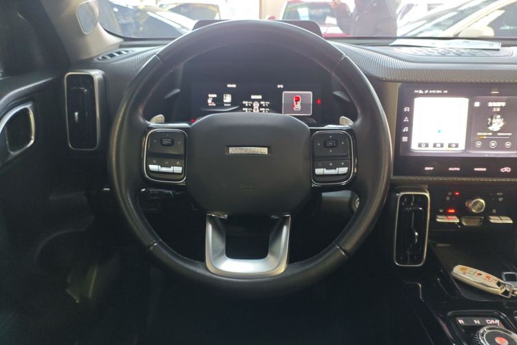 哈弗大狗 2021款 1.5T DCT两驱边牧版中控内饰13