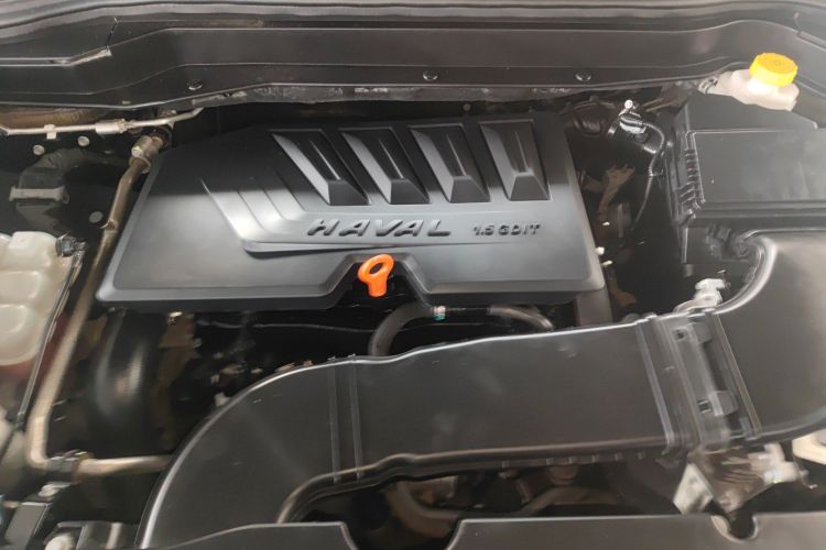 哈弗H6 2020款 1.5GDIT 自动铂金豪华版机舱底盘24