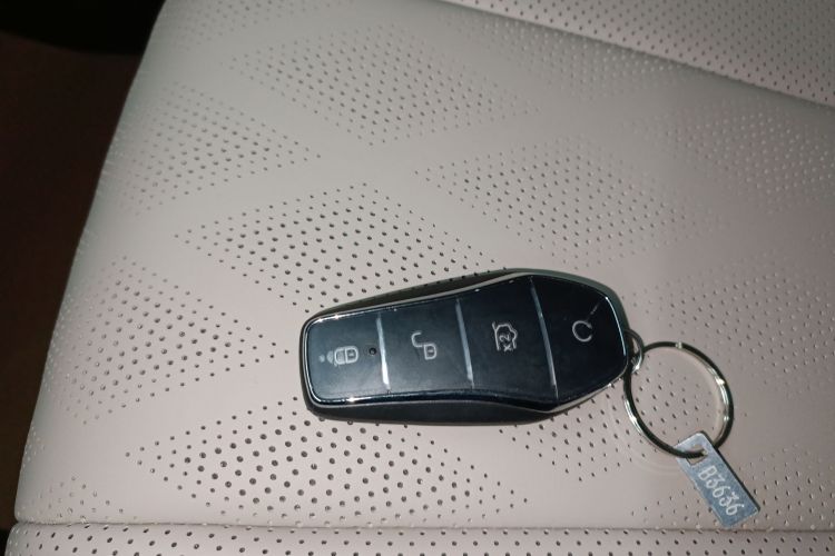 比亚迪 海豚 2025款 420km 自由版中控内饰11