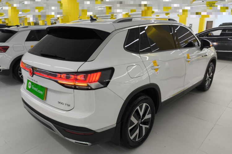 大众 探岳 2024款 300TSI 两驱豪华Plus进阶版车身外观7