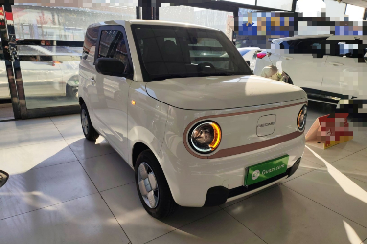 吉利银河 2024款 熊猫mini 200km 耐力熊车身外观6002