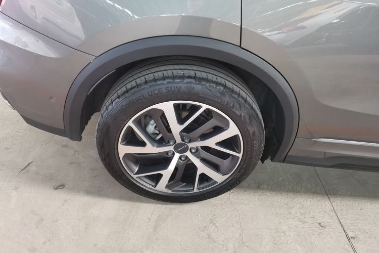 领克01 2021款 2.0TD 四驱劲Halo车身外观6005