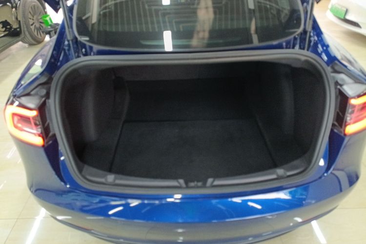 特斯拉 Model 3(进口) 2019款 长续航全轮驱动版局部细节23