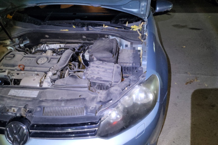 大众 高尔夫 2012款 1.4TSI 蓝驱版局部细节9007