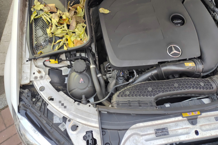 奔驰C级 2020款 改款 C 260 L 运动版局部细节9006