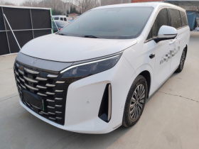 比亚迪 夏 2025款 DM-i 1.5T 180km 超越型