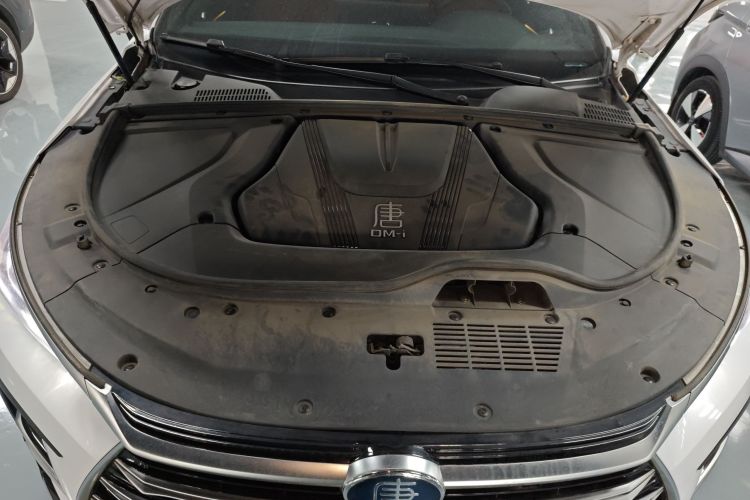 比亚迪 唐新能源 2023款 DM-i 冠军版 112KM 尊荣型局部细节24